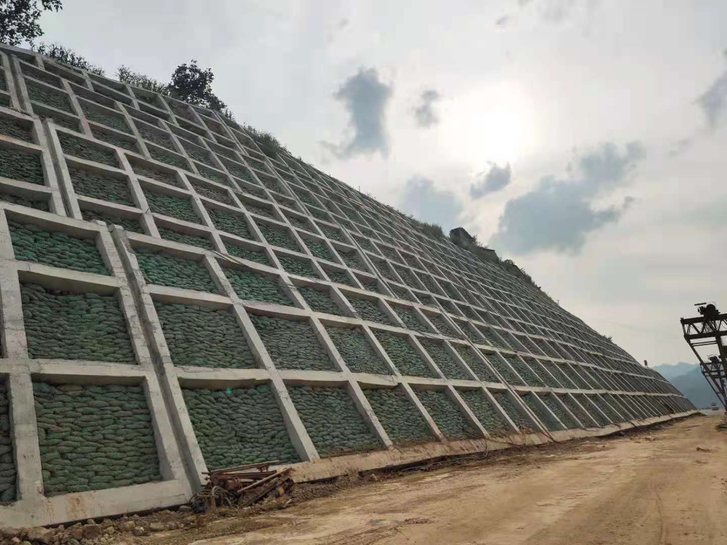 黄龙高速公路绿化1标段